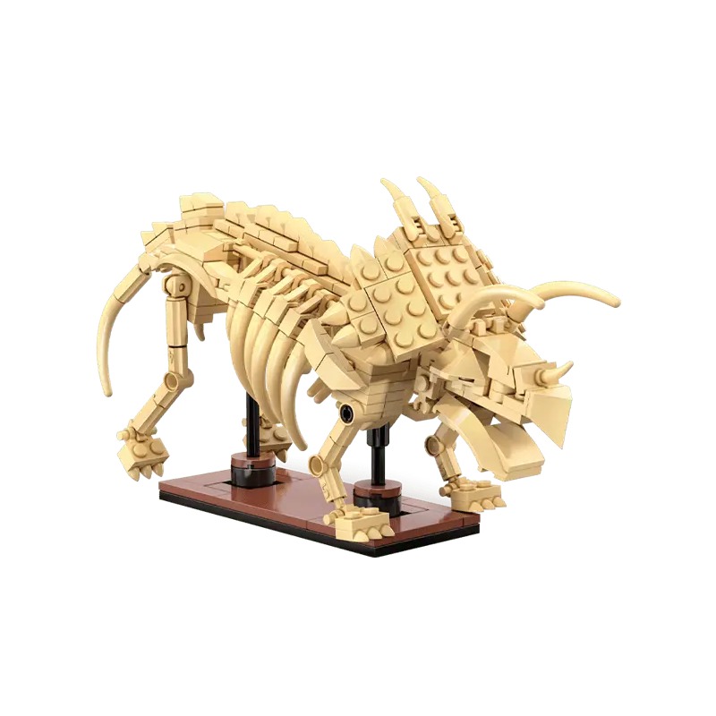 [C59013W] CaDA C59013W – Fossile de dinosaure Tricératops