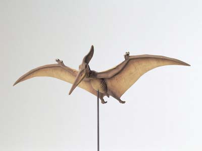 [60204] Tamiya 60204 1:35 Dinosaur Pteranodon Model Kit