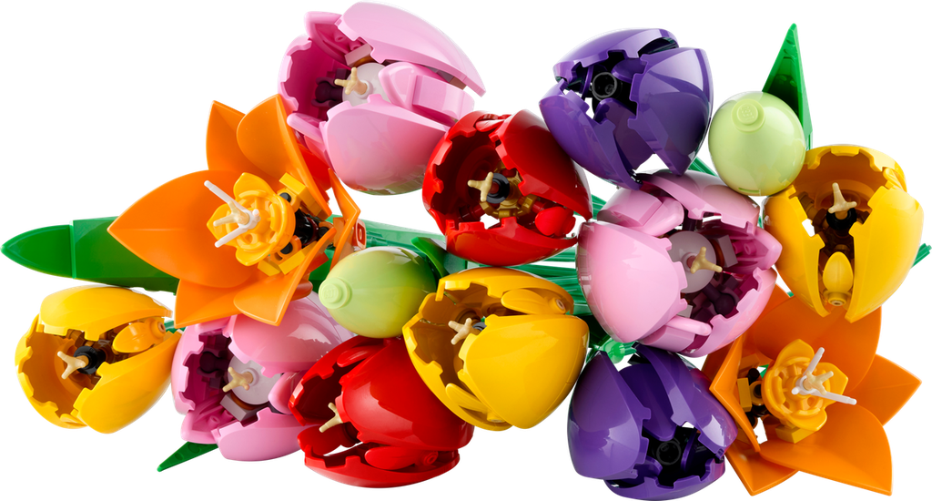 [11501] LEGO Botanicals 11501 – Le bouquet de tulipes