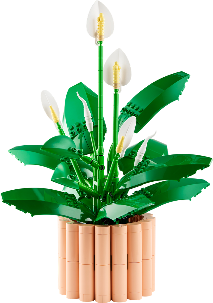 [11504] LEGO Botanicals 11504 – Les fleurs de lune