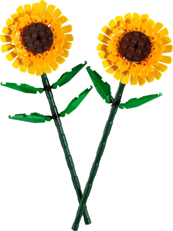 LEGO Botanicals 40524 – Tournesols