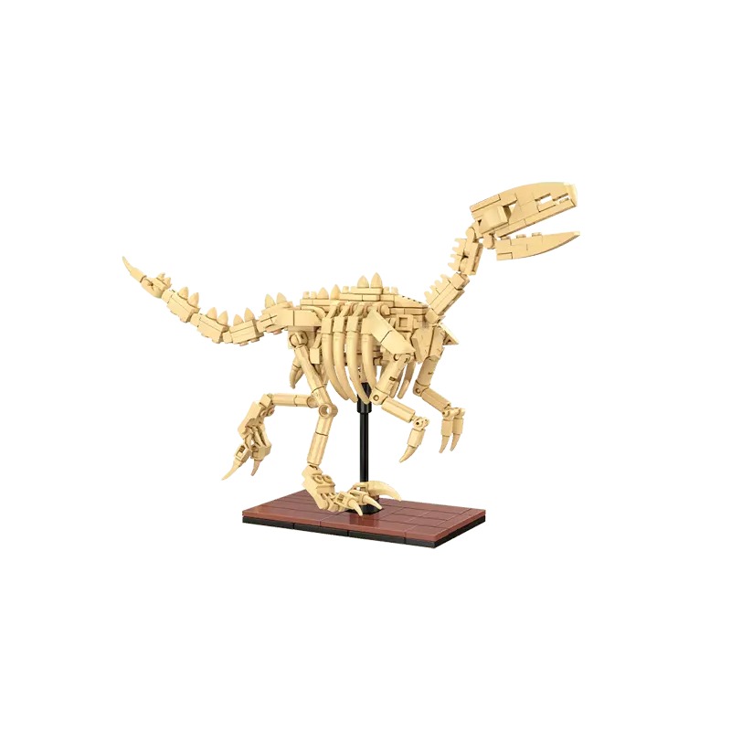 CaDA – Fossile de dinosaure Vélociraptor