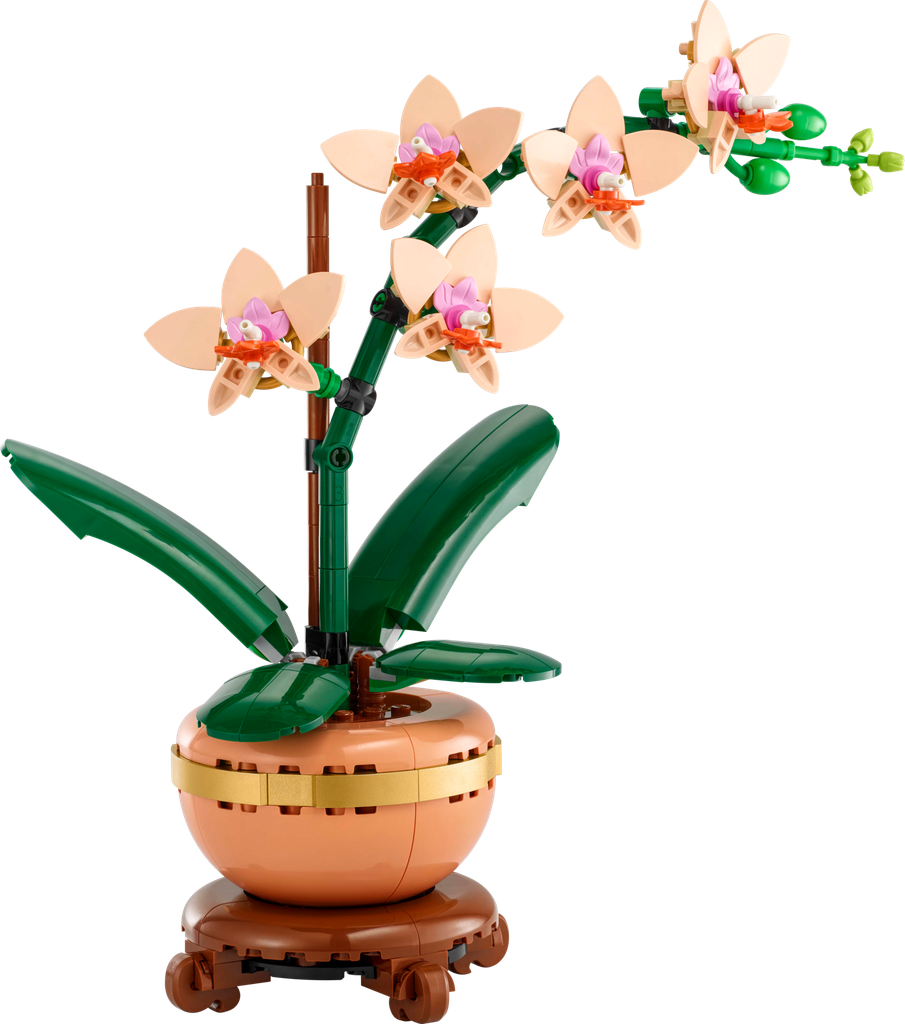 [10343] LEGO Botanicals 10343 – L'orchidée miniature