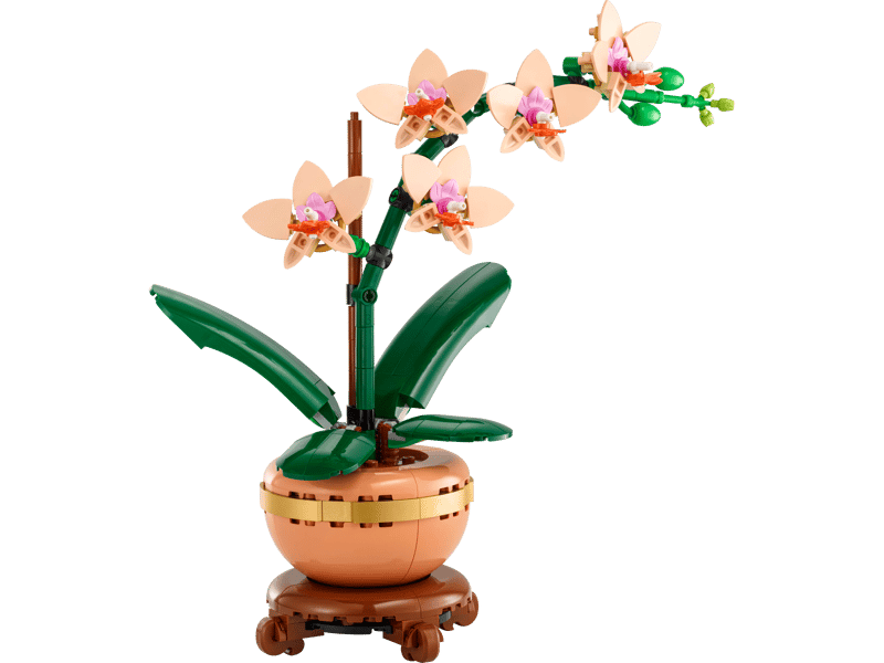 [10343] LEGO Botanicals 10343 – L'orchidée miniature